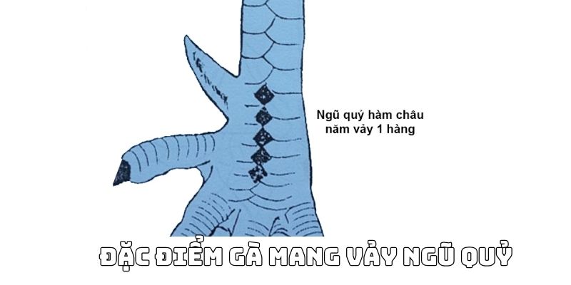 Vảy đại diện cho sức mạnh vượt trội 